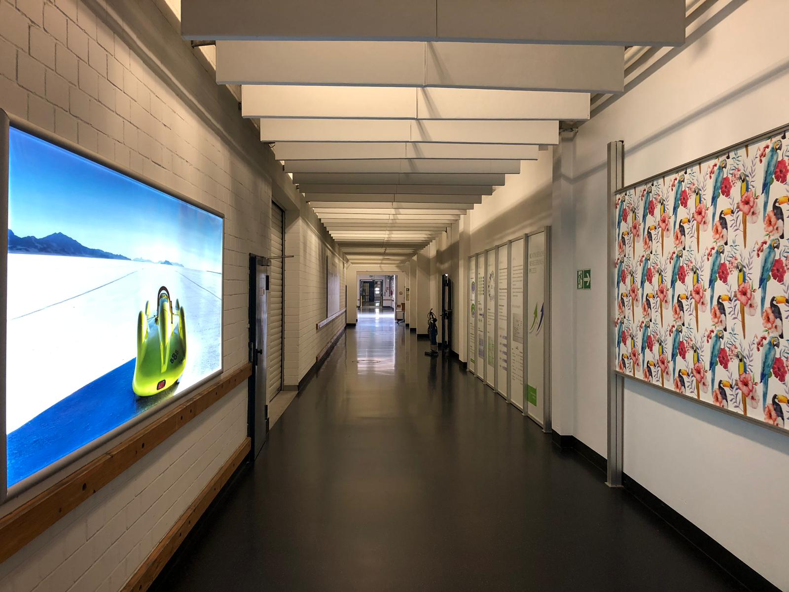 3b4a2d18-869b-4351-bfe0-0bf104baa3dd