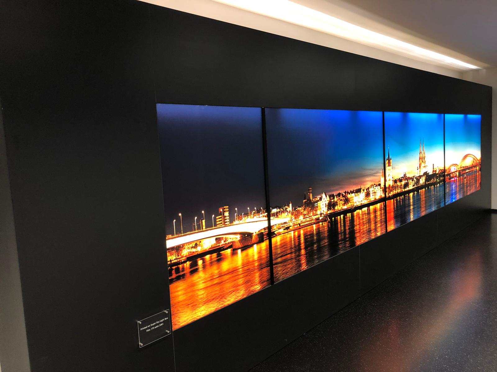 9423ed88-81dd-4cab-a7e0-e5896896e952