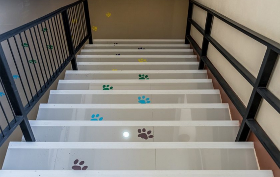 Application_floor-graphic_sticker4-840x560
